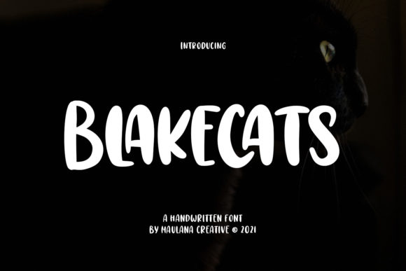 Blakecats: A Bold Display Font That Commands Attention