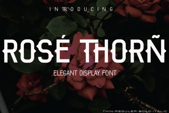 Rose Thorn: A Bold Display Font for Editorial Impact